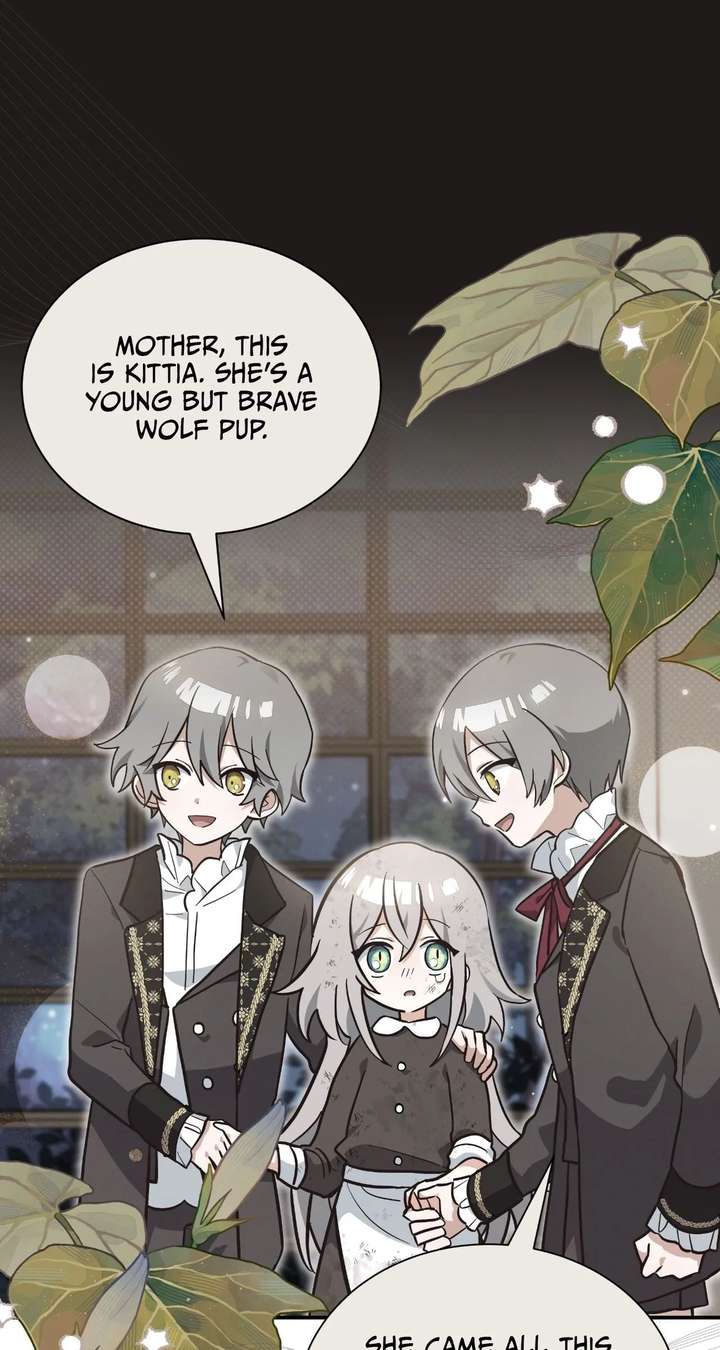 You’re a Cat, But You’ve Been Adopted by a Wolf Family? Chapter 81 341 ch 81 59