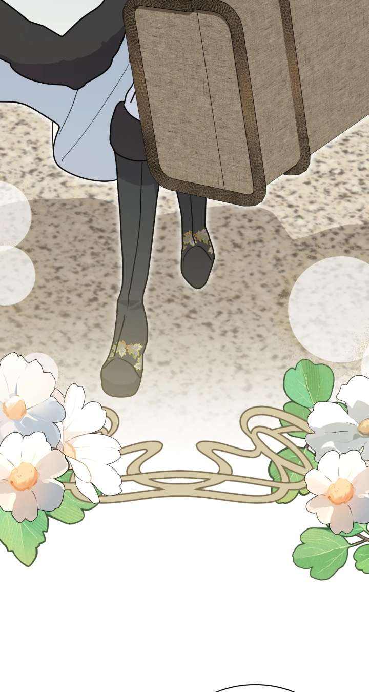 ch 82 28