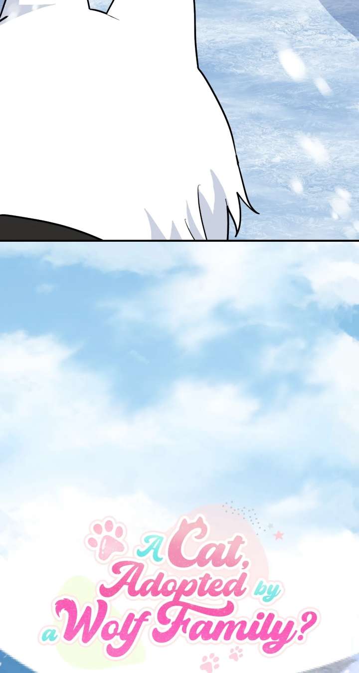 You’re a Cat, But You’ve Been Adopted by a Wolf Family? Chapter 83 341 ch 83 26