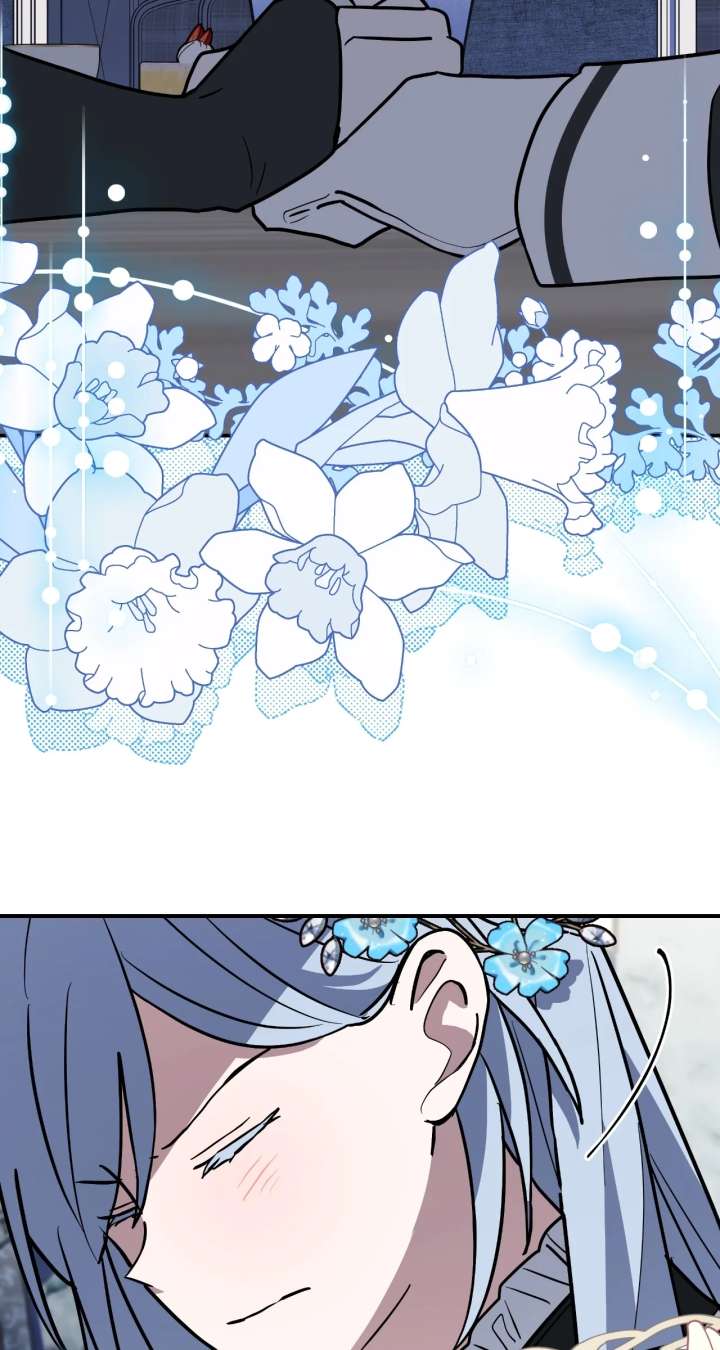 ch 85 24