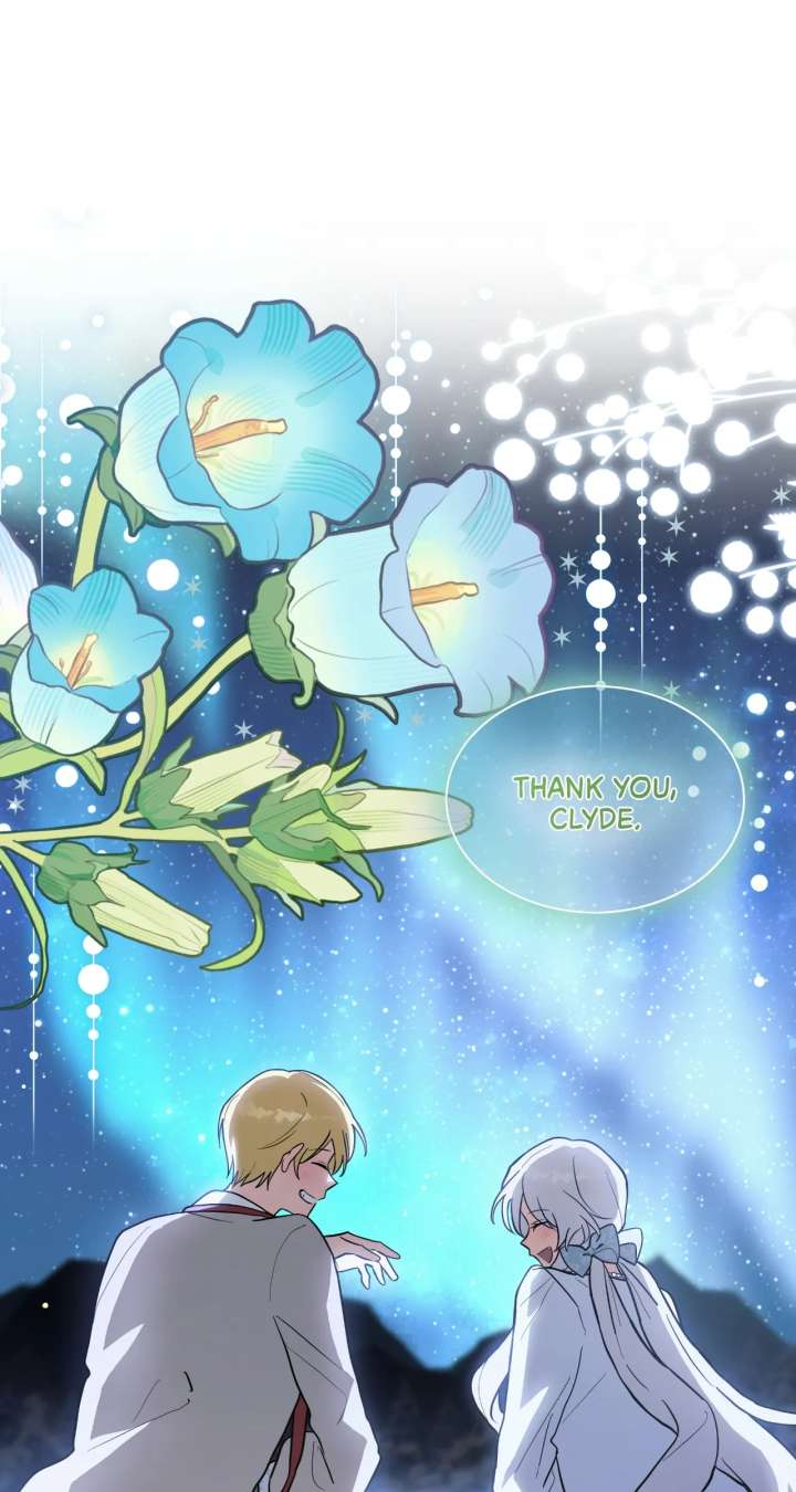 ch 85 85