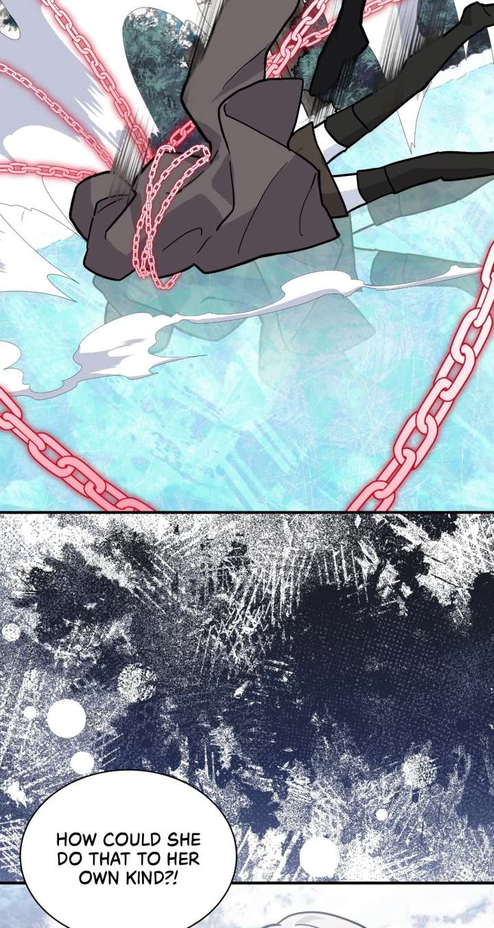 ch 88 81