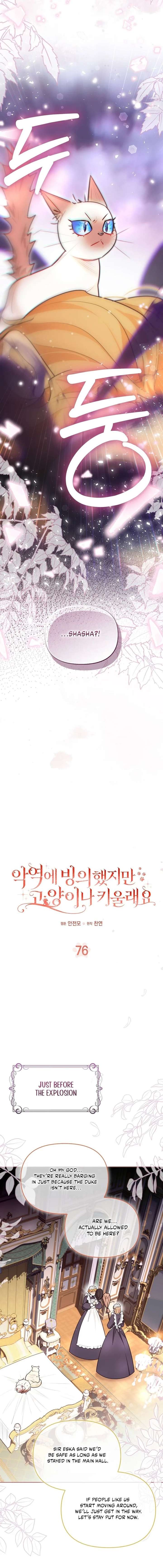 ch 76 2