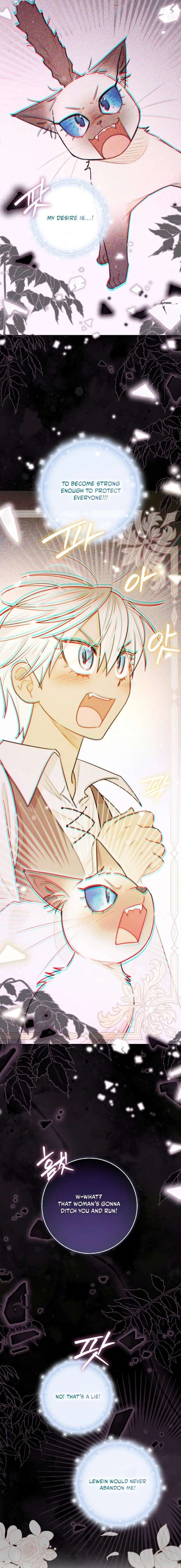 ch 76 7