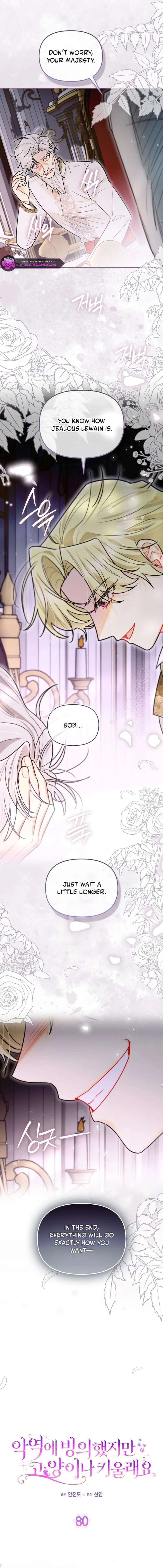 ch 80 4