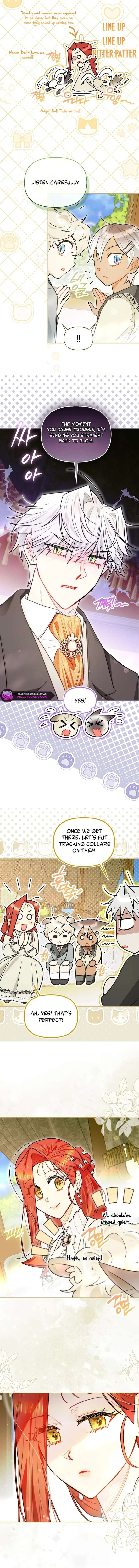 ch 80 8