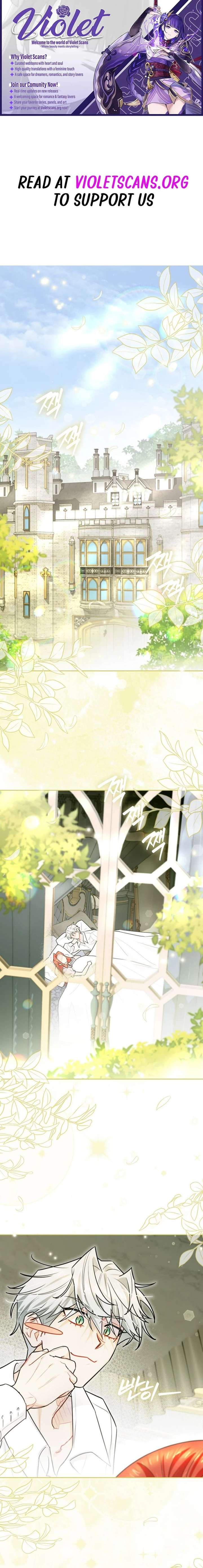 ch 81 1