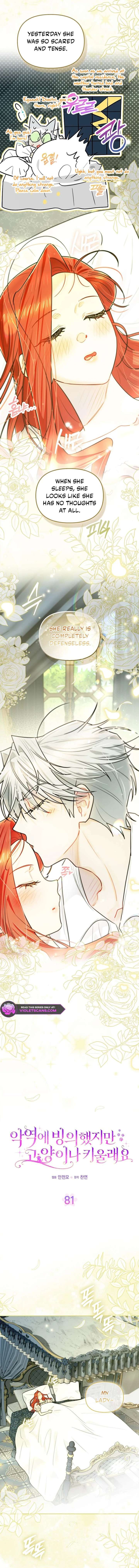 ch 81 2