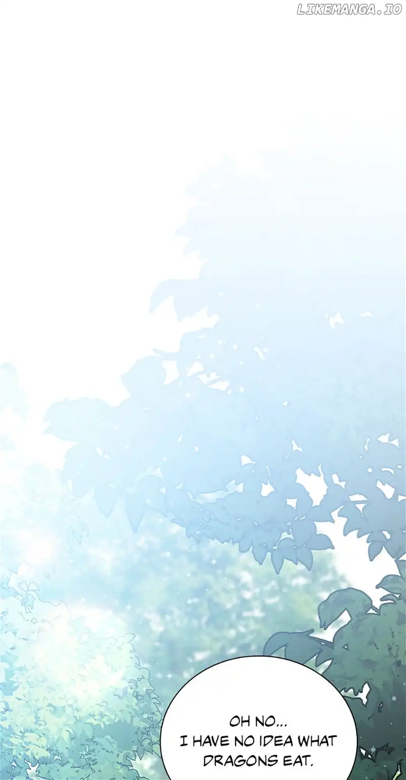 The Guardian Dragon and the Fake Princess Chapter 2 257 16