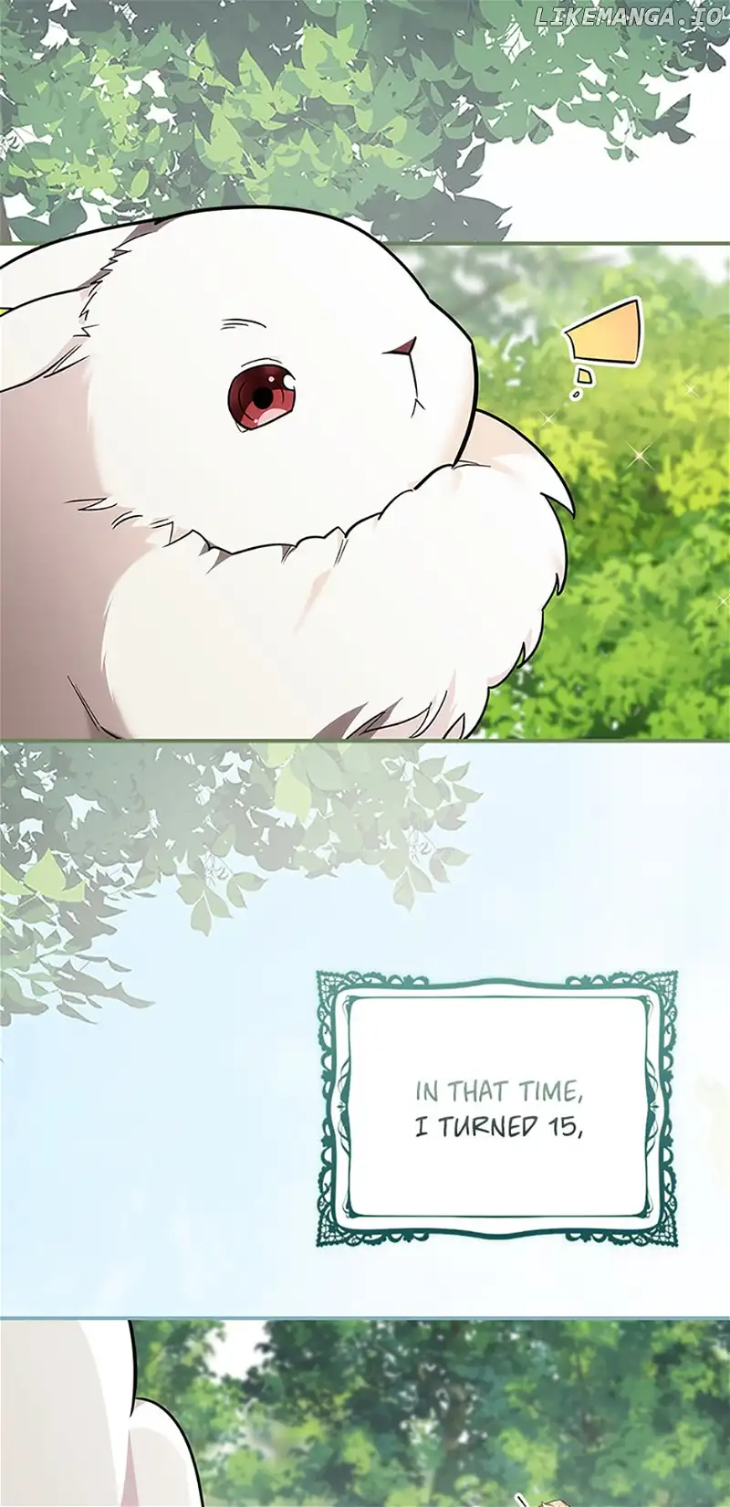 The Guardian Dragon and the Fake Princess Chapter 5 249 02