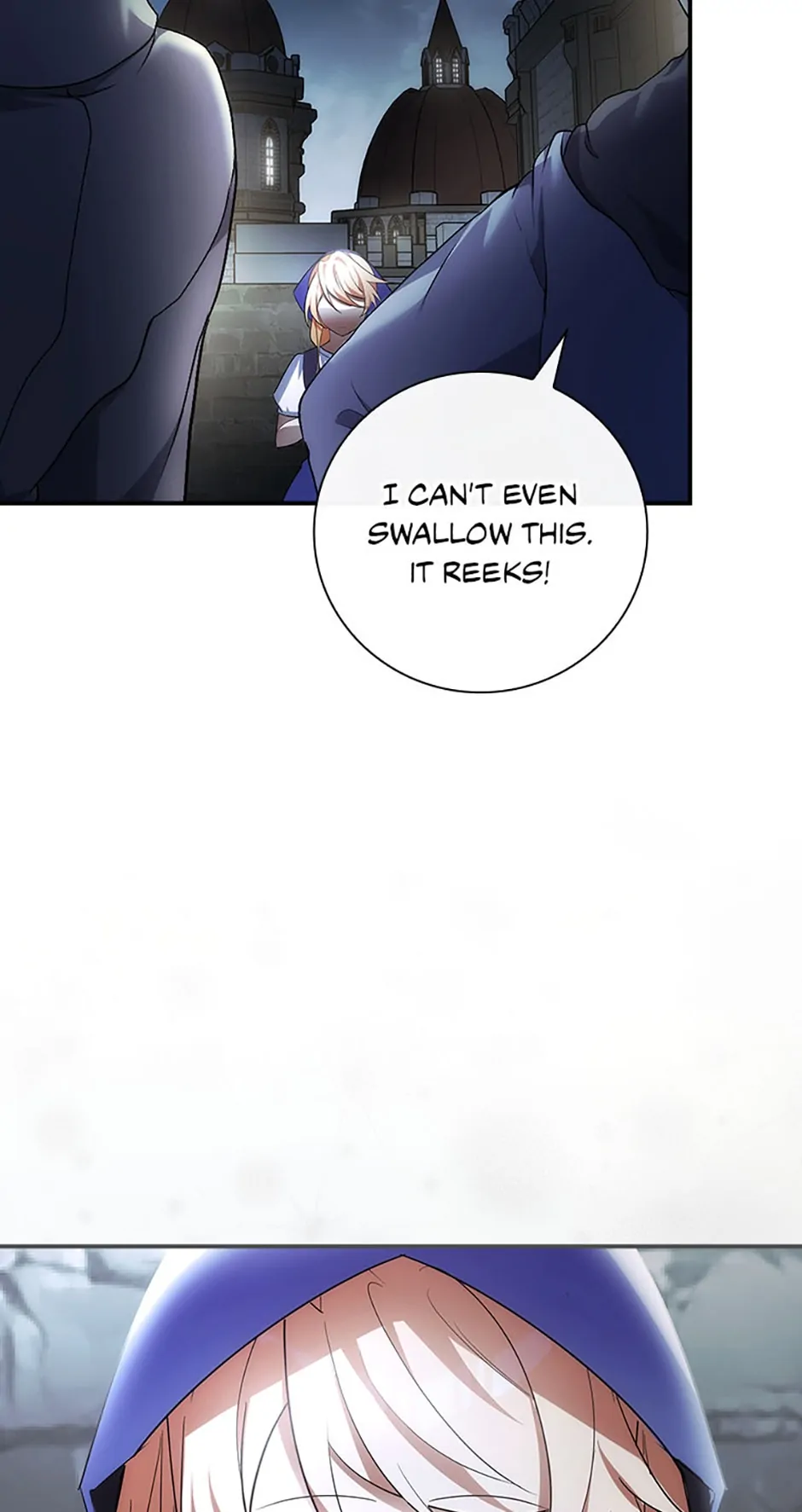 The Guardian Dragon and the Fake Princess Chapter 7 292 24