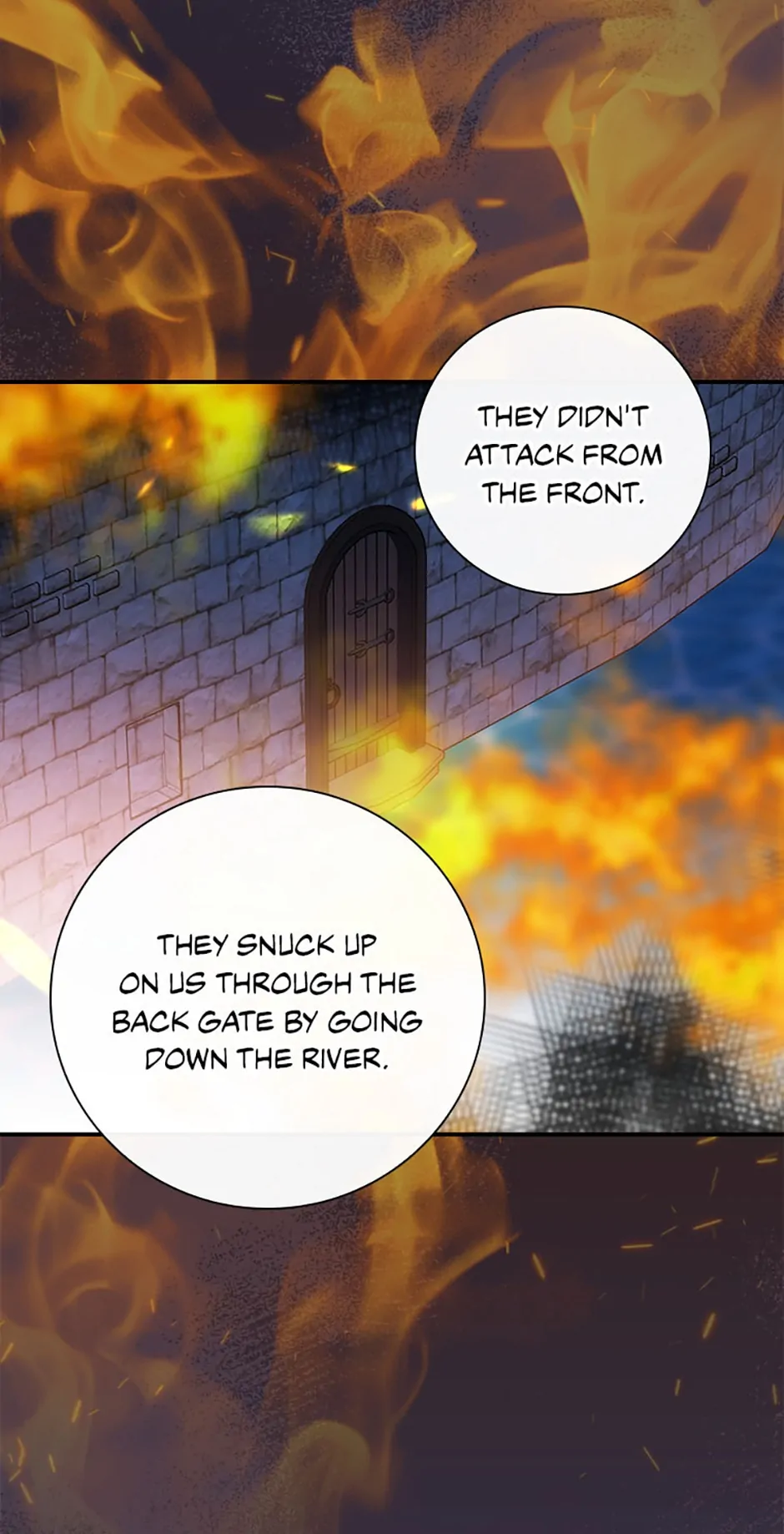 The Guardian Dragon and the Fake Princess Chapter 8 252 29