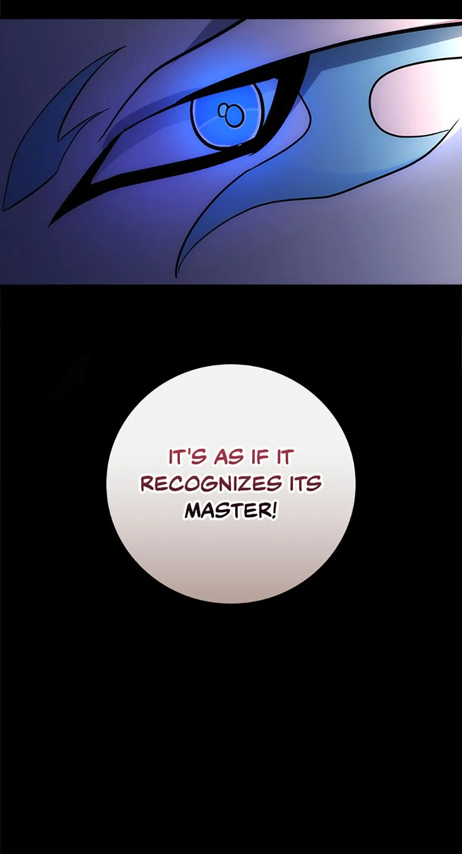The Guardian Dragon and the Fake Princess Chapter 8 291 68