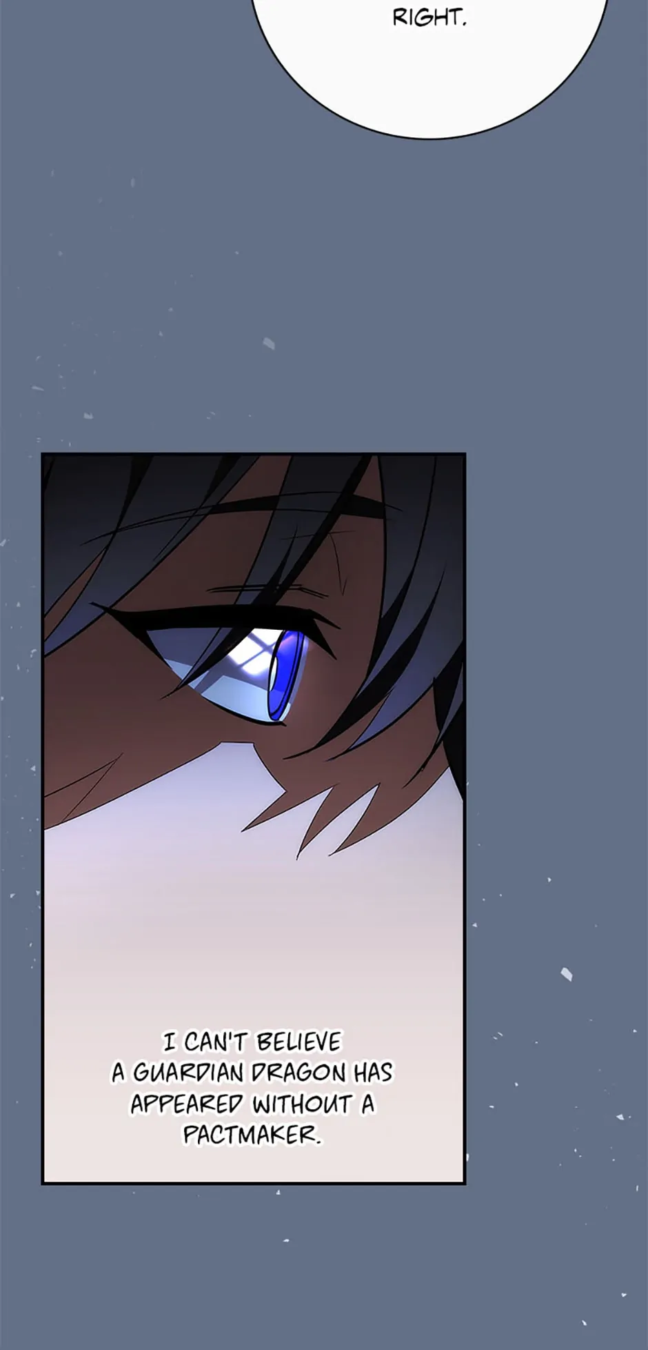 The Guardian Dragon and the Fake Princess Chapter 9 264 08
