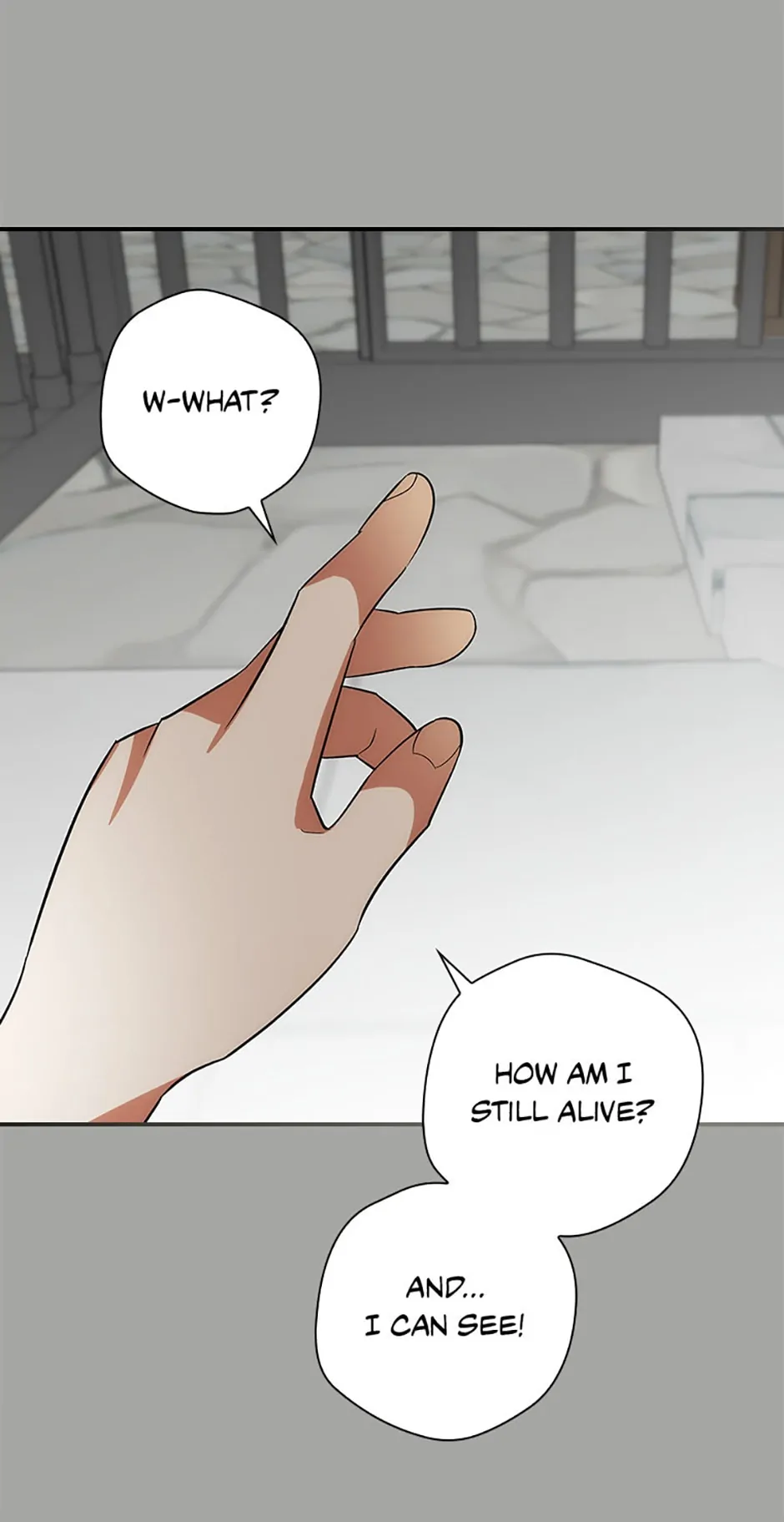 The Guardian Dragon and the Fake Princess Chapter 9 329 73
