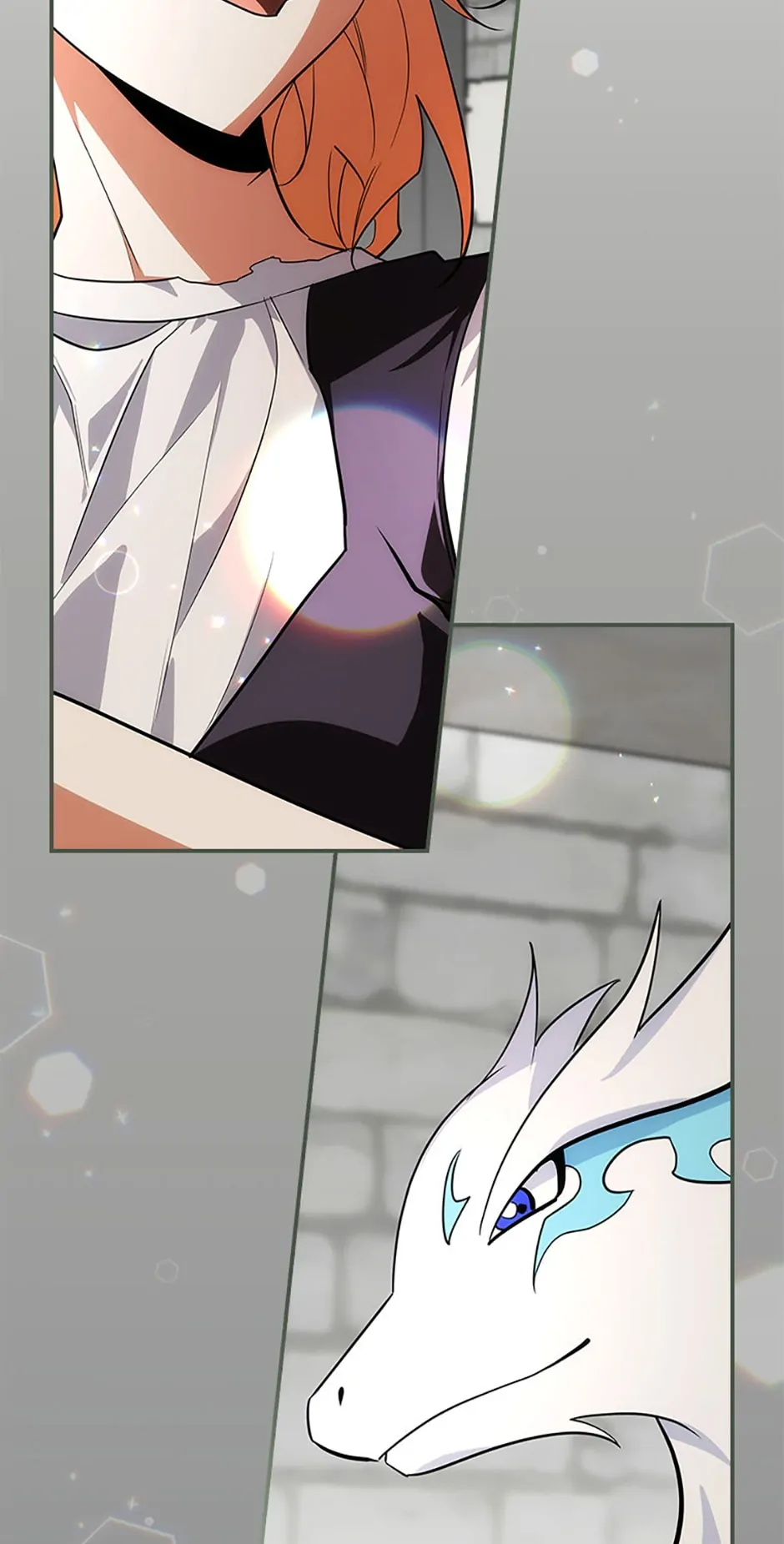 The Guardian Dragon and the Fake Princess Chapter 9 334 78