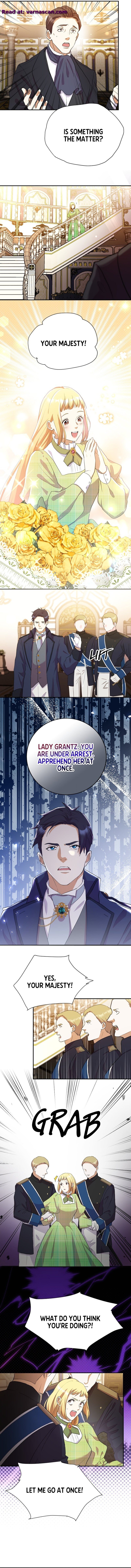 A Torn Heart between Cold King, Cruel King Chapter 24 48 7