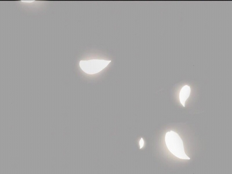 023