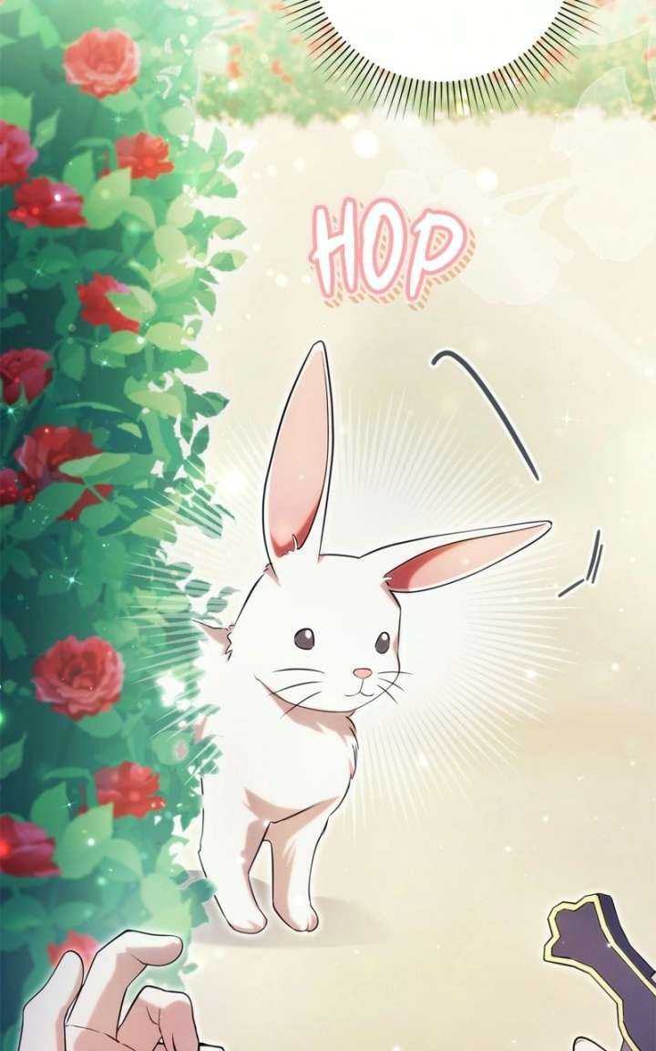ch 77 116