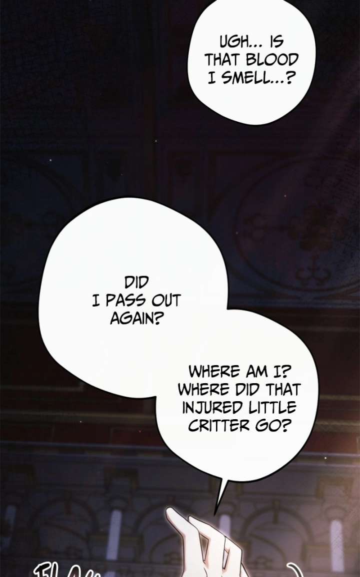 ch 80 6