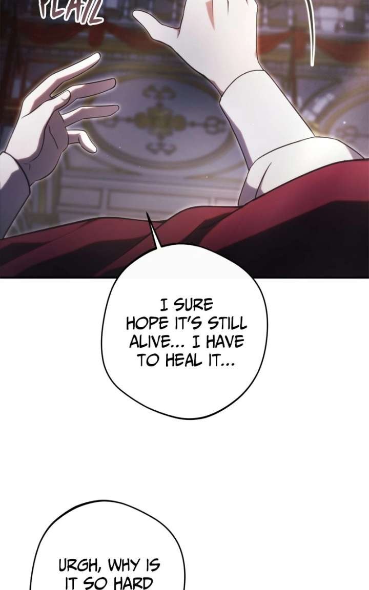 ch 80 7