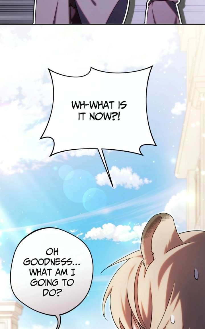 ch 82 79