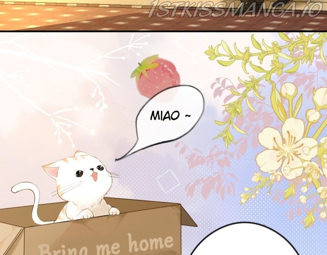 What Should I Do If I Found A Witch? Chapter 1 377 067