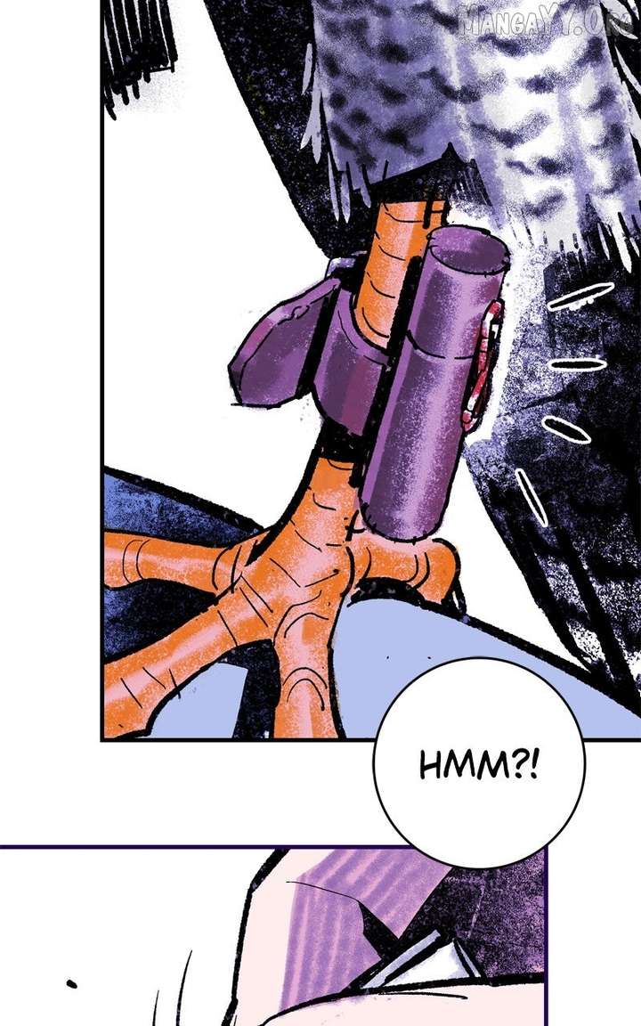 116