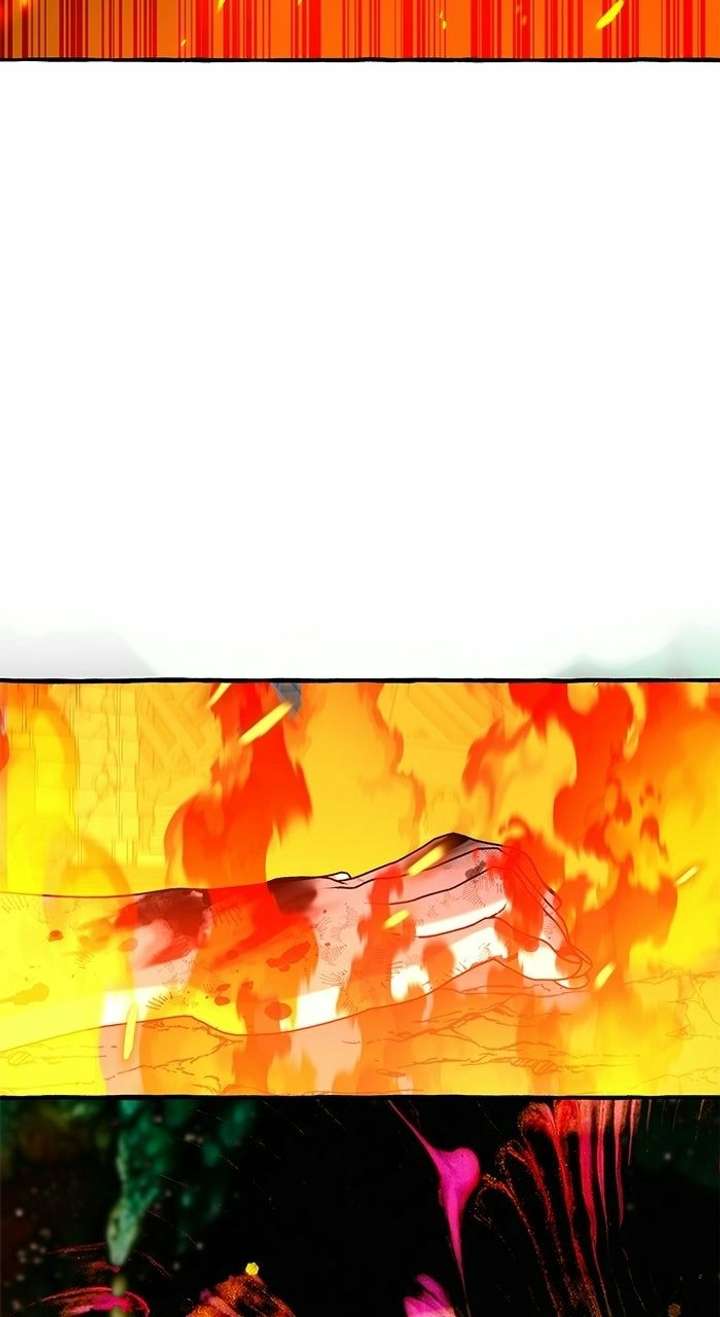 ch 66 82