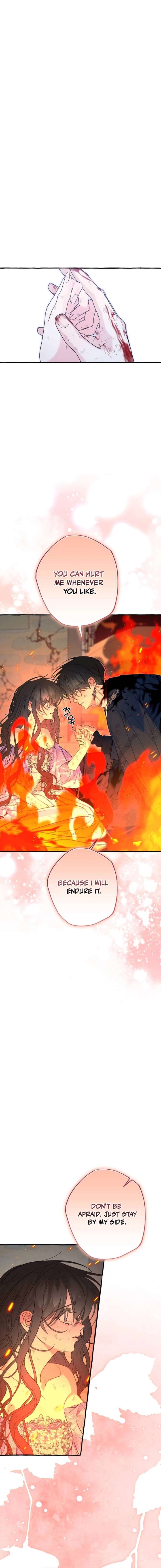 ch 81 11