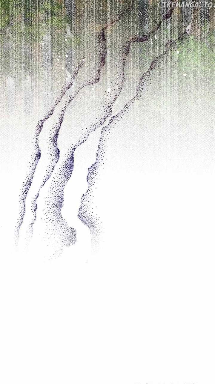 81