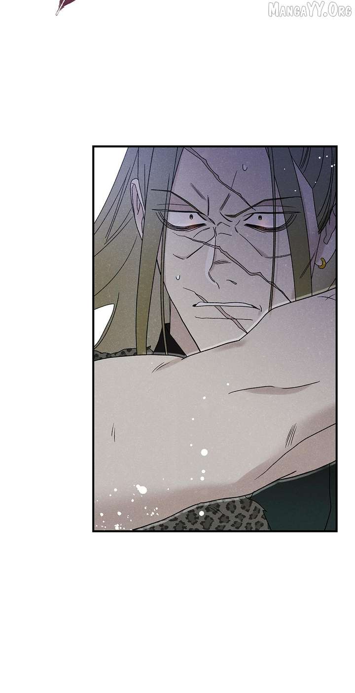 ch 50 14