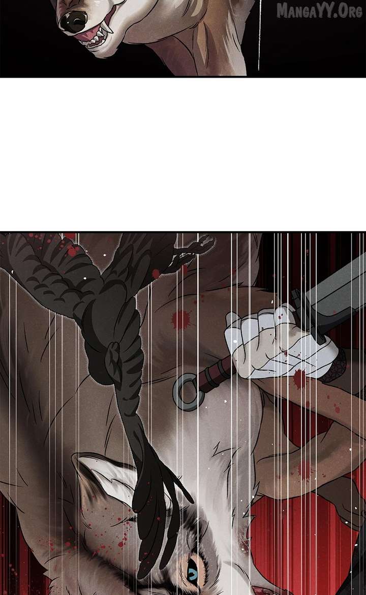 ch 50 24