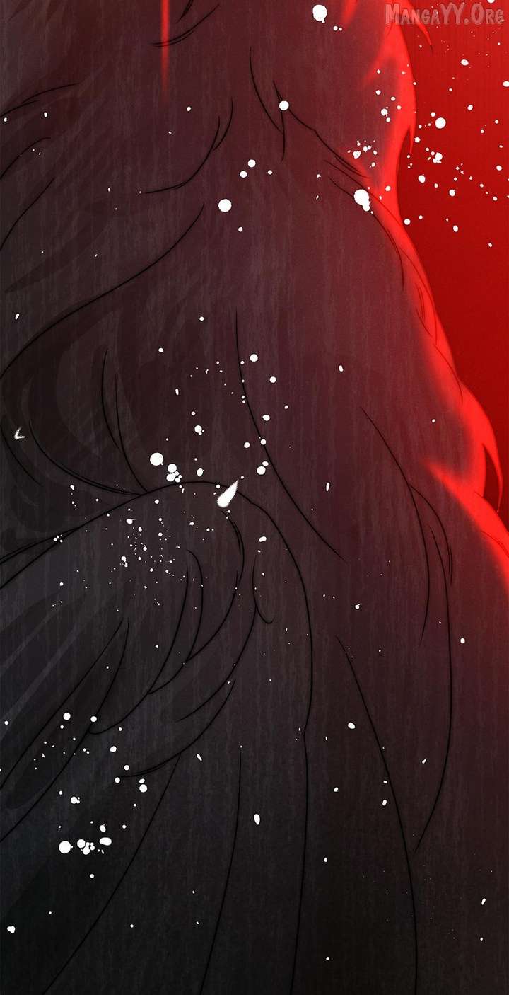 ch 50 4