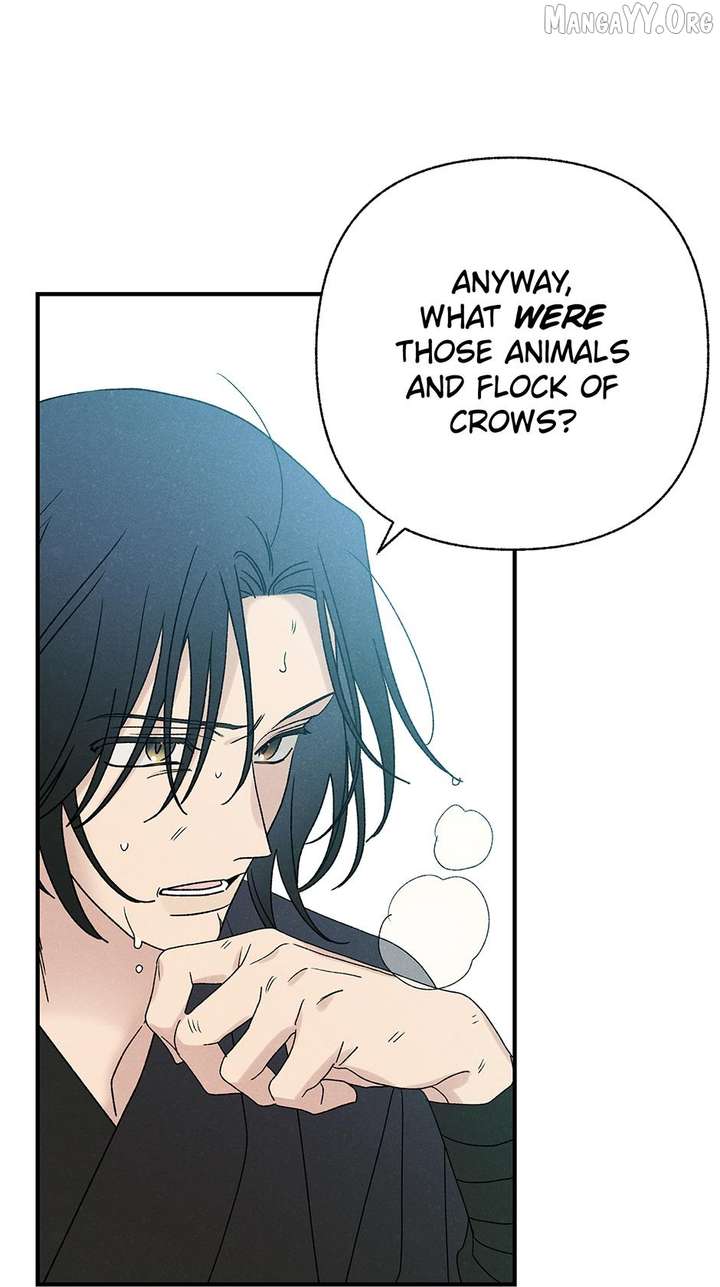 ch 51 37