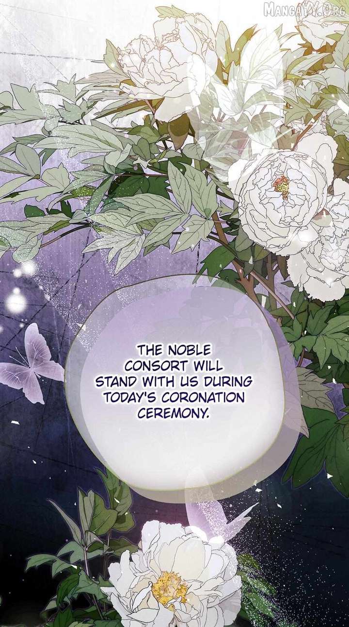ch 51 77