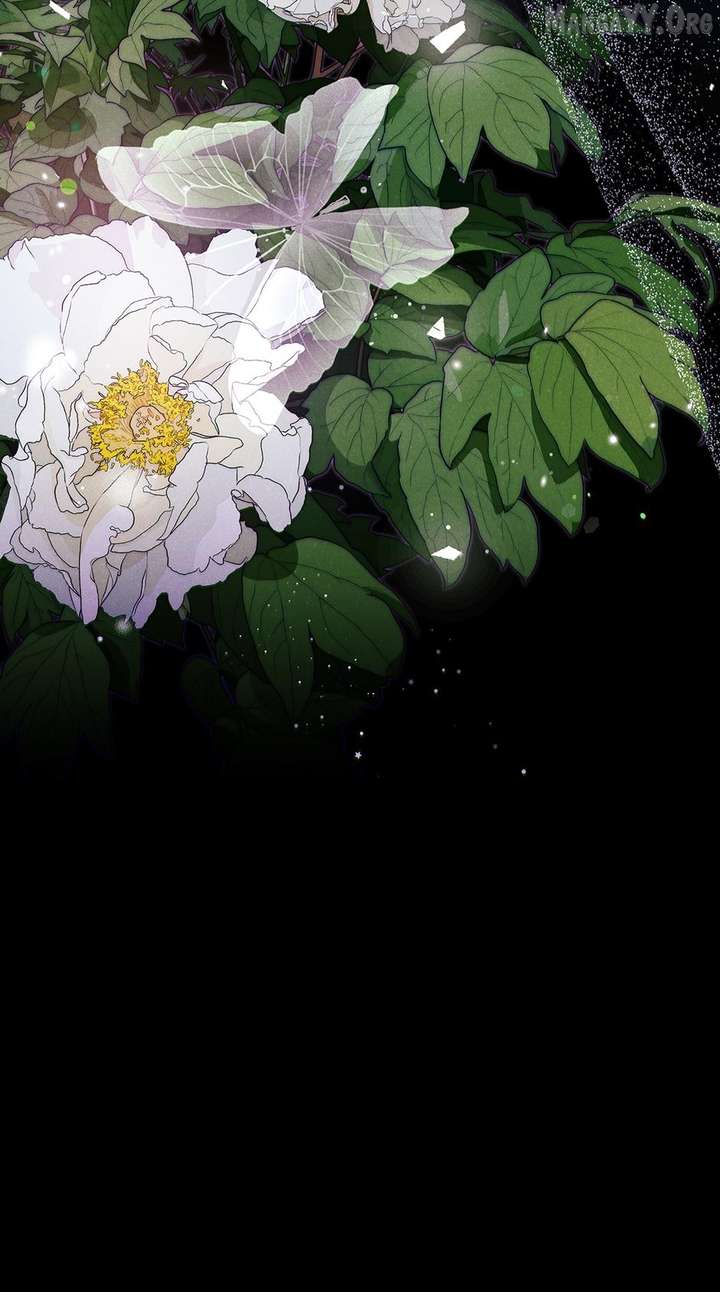 ch 51 78
