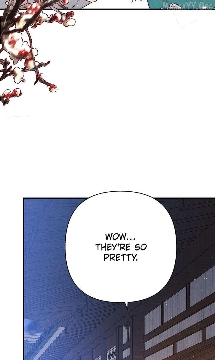 ch 55 41