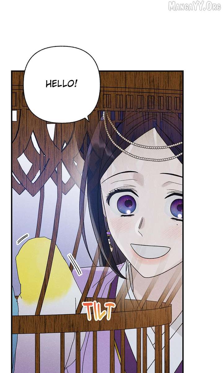 ch 55 43