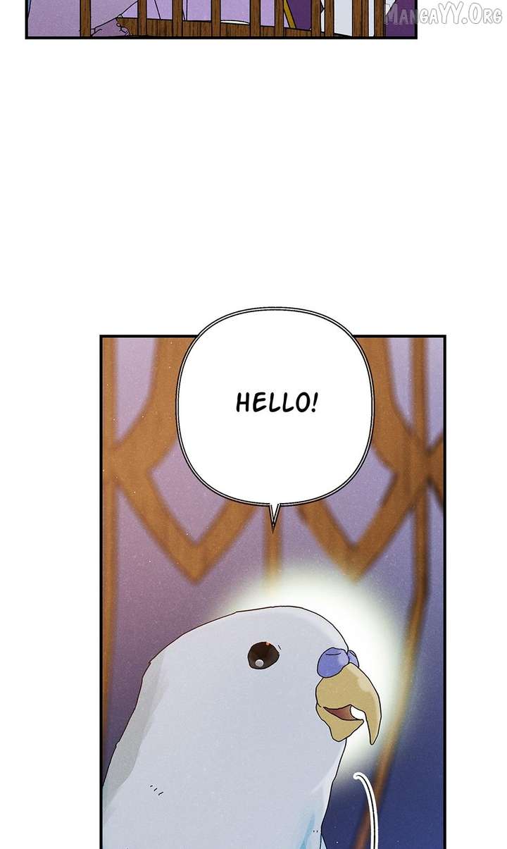 ch 55 44