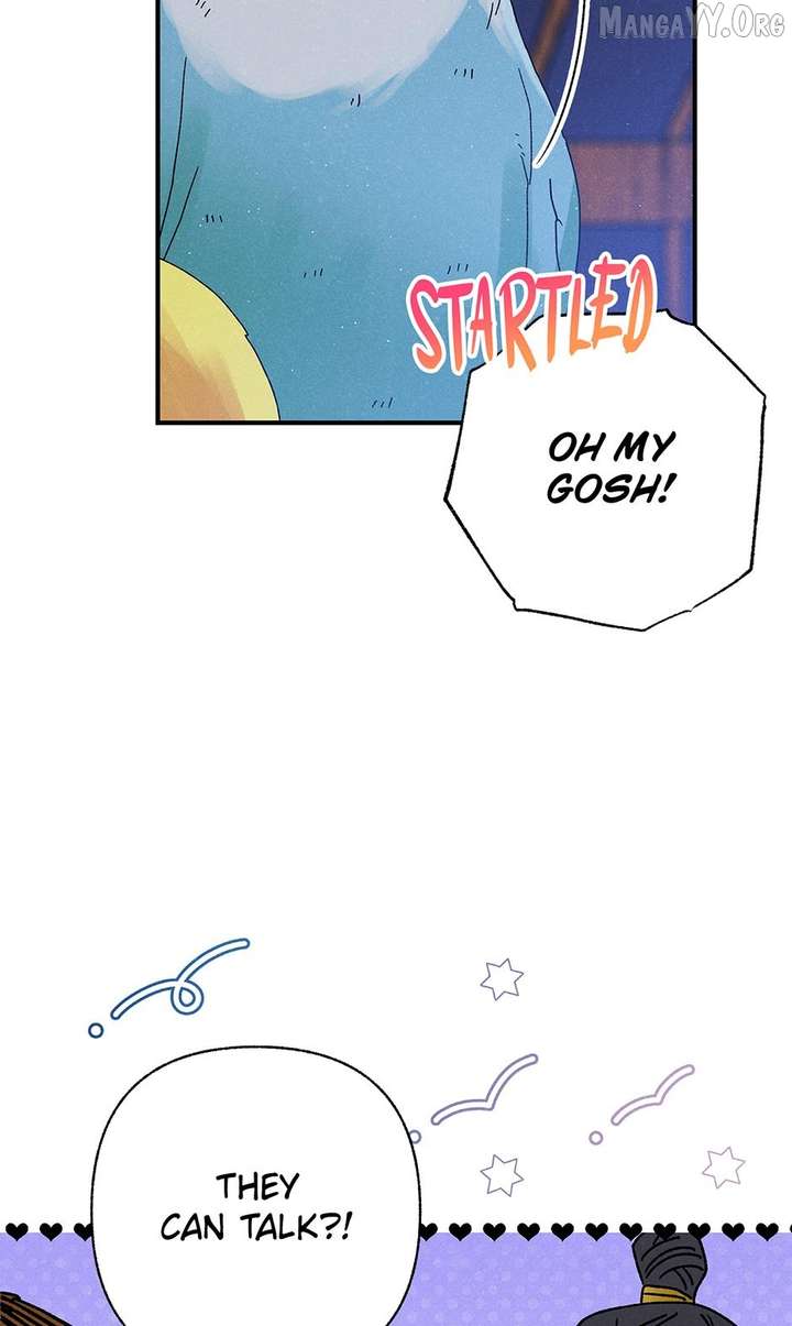 ch 55 45
