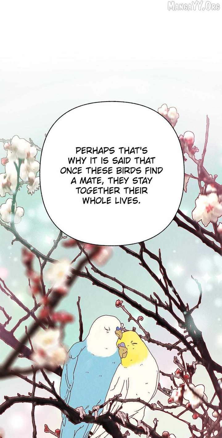 ch 55 47
