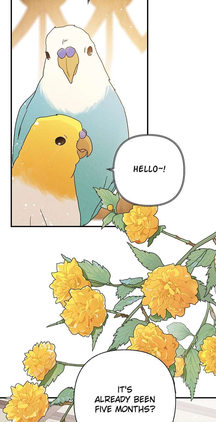 ch 57 45