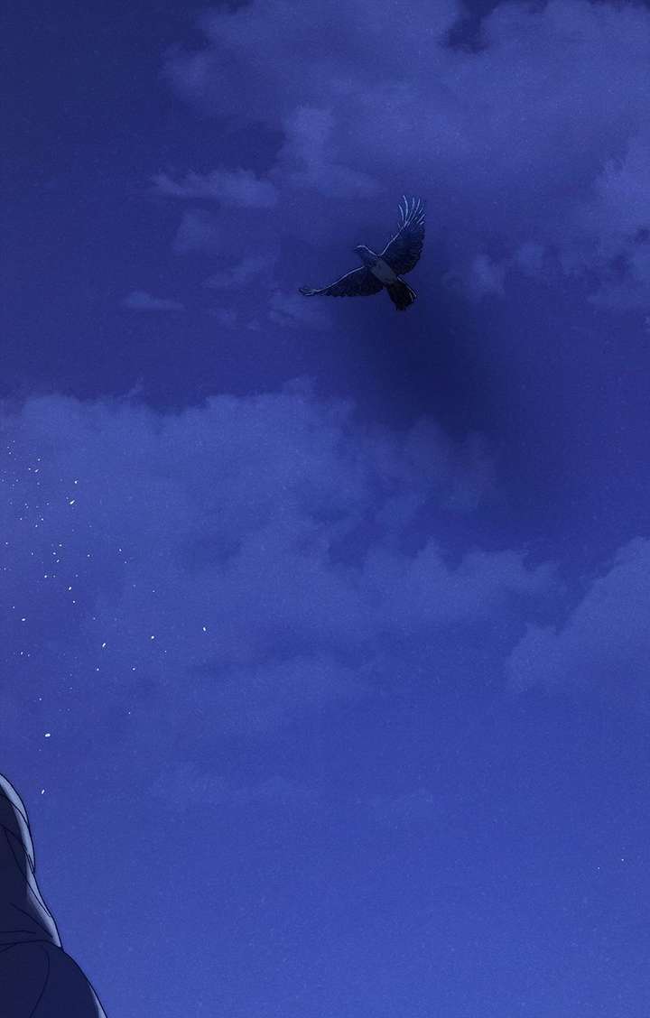 ch 62 79