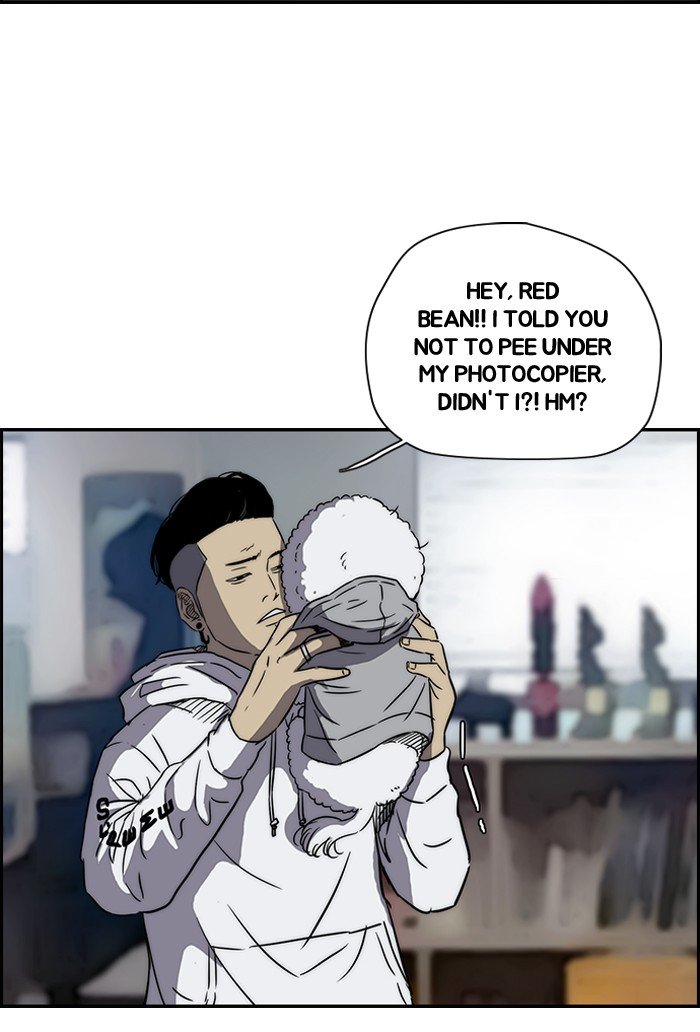 41