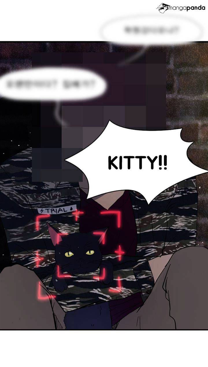 43