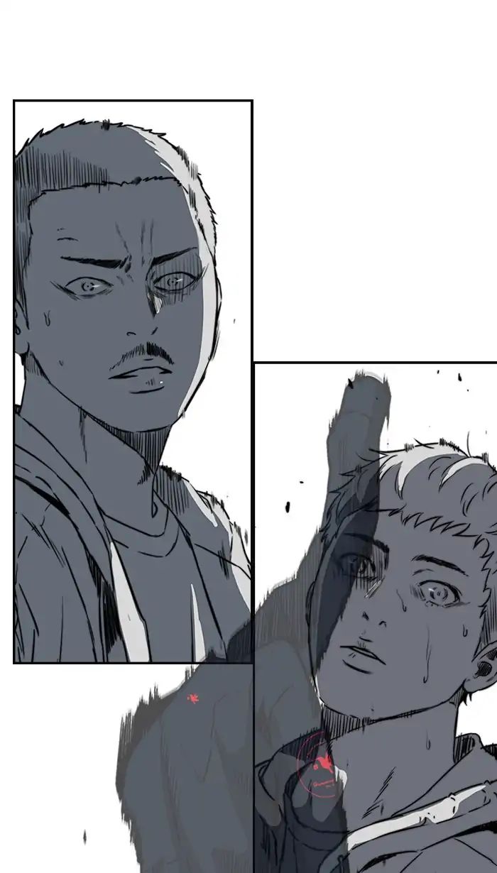 41