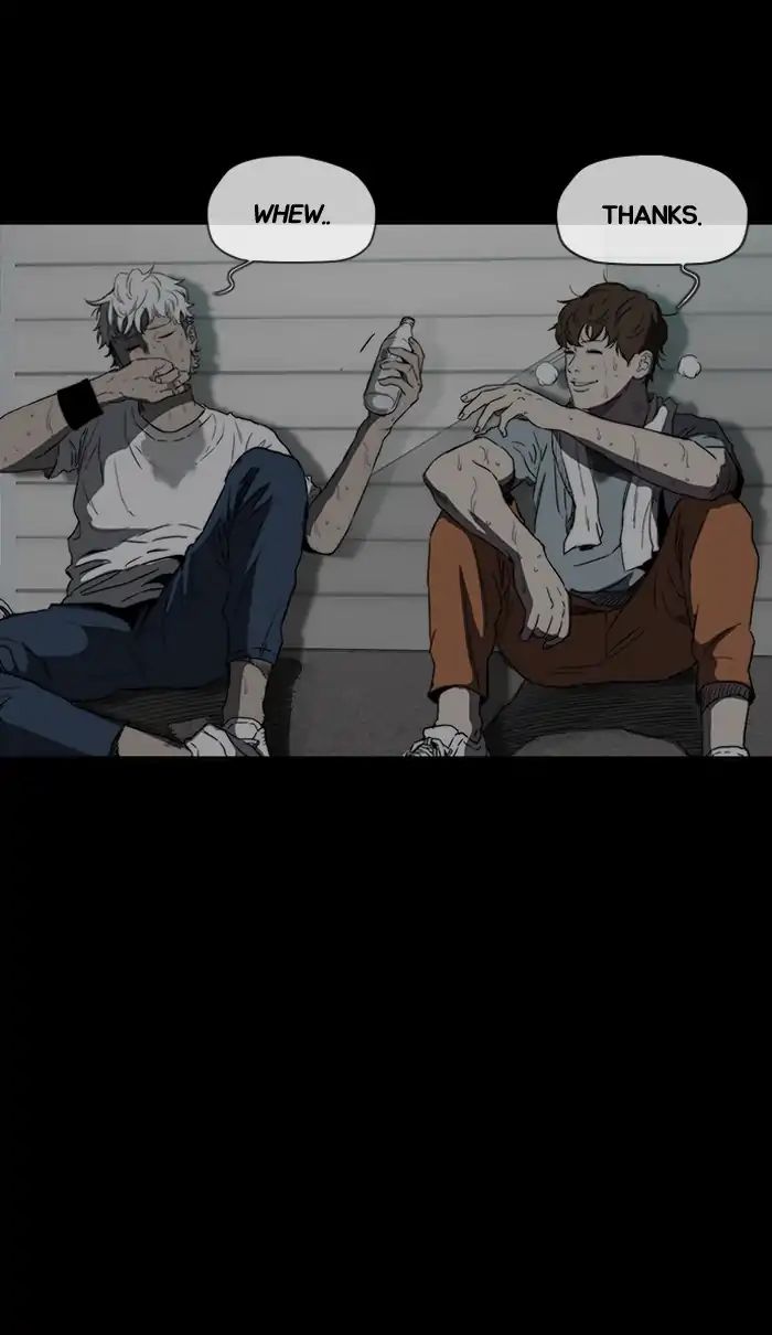 56