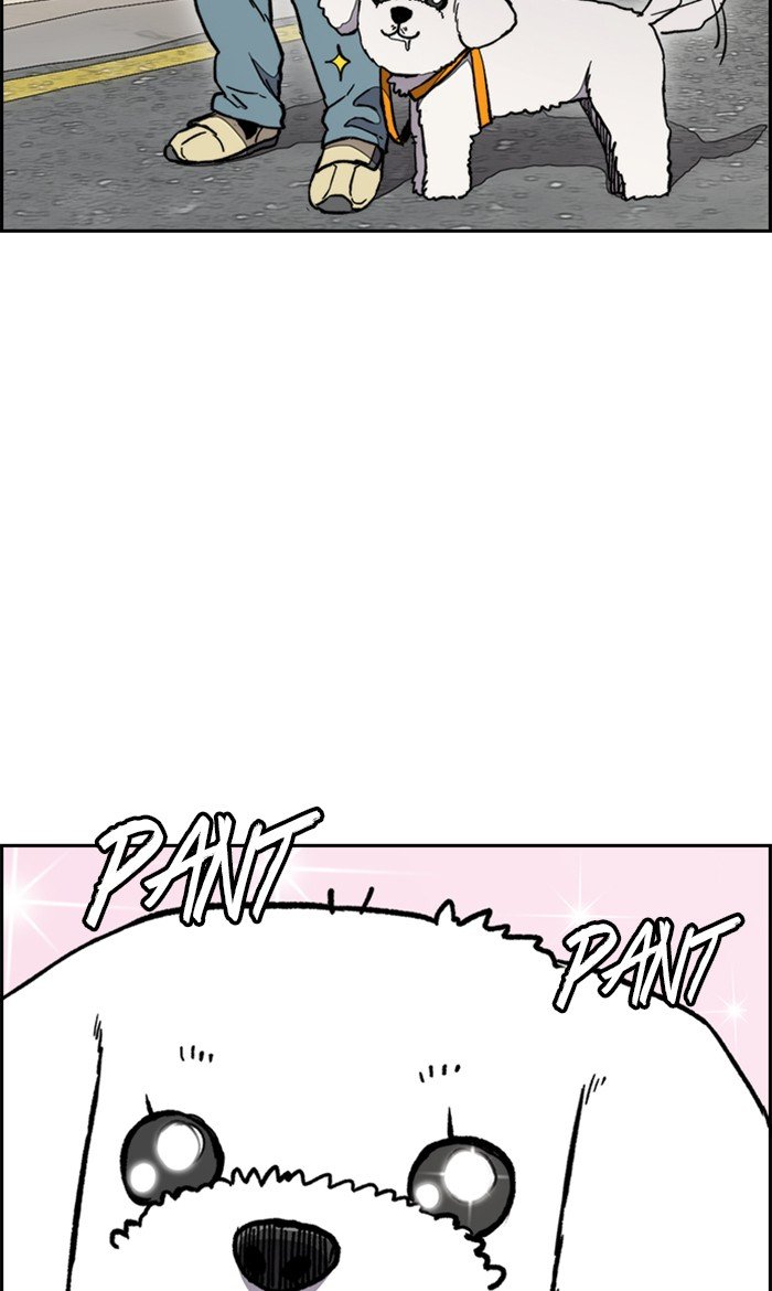 52