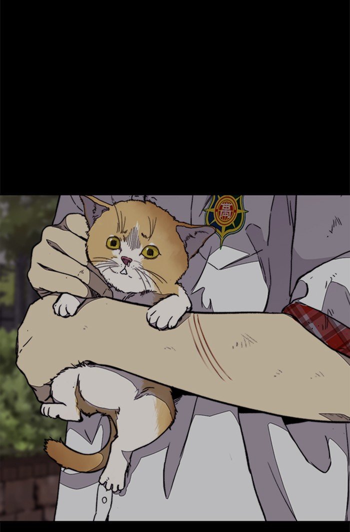 73